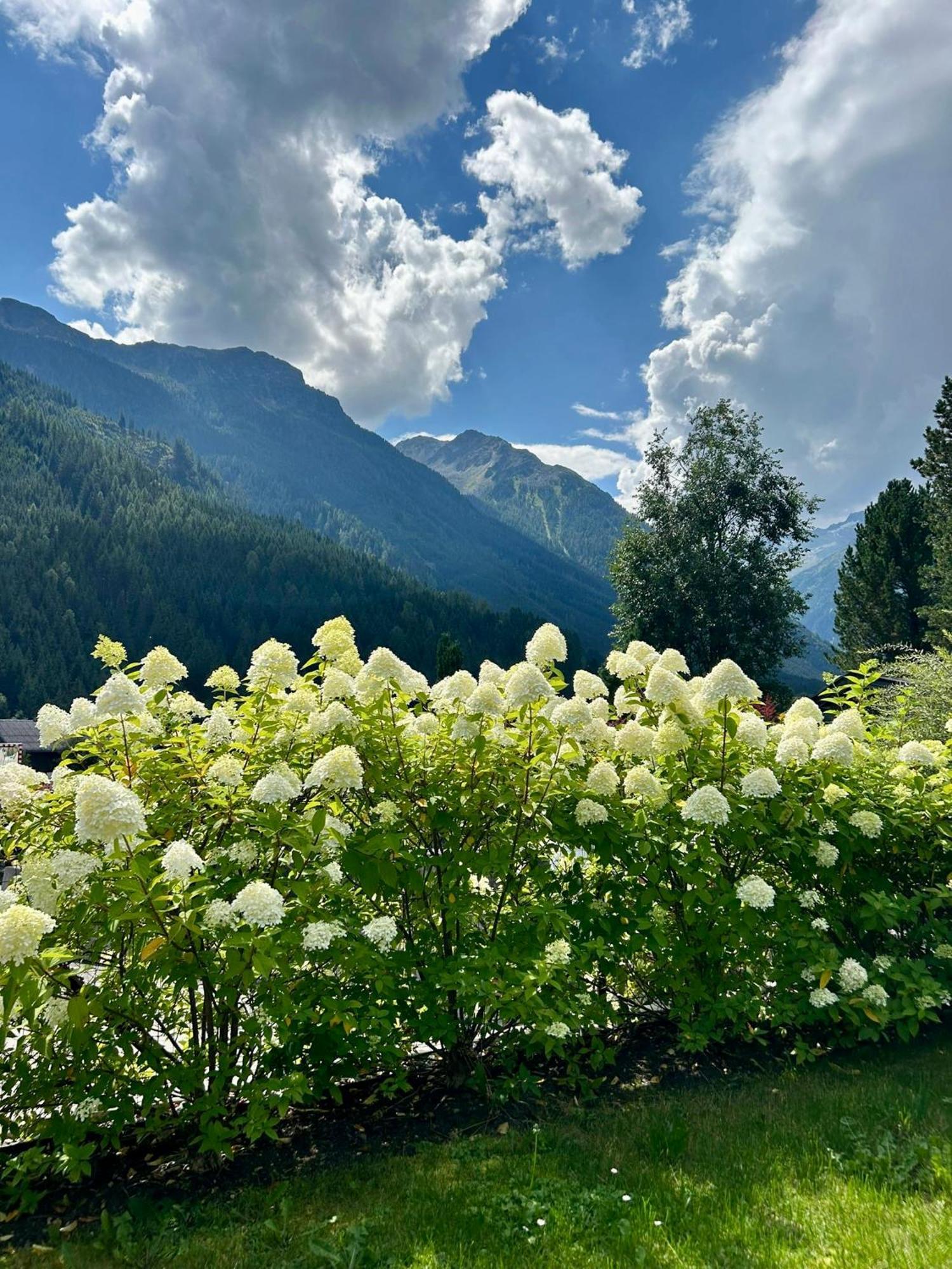 Ferienwohnung Wald Wald im Pinzgau Exterior foto